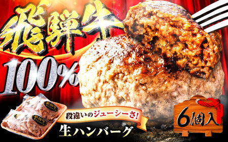 飛騨牛 100%生ハンバーグ 6個 牛肉 おかず お惣菜 岐阜市 / だるまミート[ANBE029]