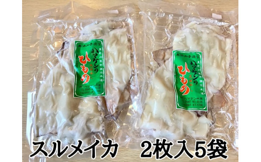定置網のハマケン水産【スルメイカの一夜干し10枚☆無添加】熊野から全国の食卓へ☆2枚入り×5Ｐ【kmkn0221】