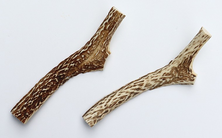 15cm（半割りタイプ）×2本