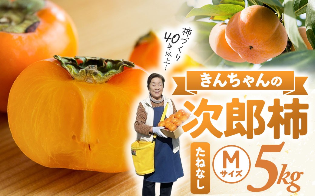 
                  【先行予約】三重県多気町産 次郎柿 5kg（たねなし）｜柿づくり40年！きんちゃん農園の甘柿 柿 かき フルーツ
                