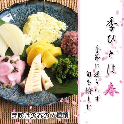 ふるさと納税 京都市 【千枚漬本家 大藤】《5/28まで》京都の漬物7種詰合せ「季ひとは 春」|京都 漬物 野菜