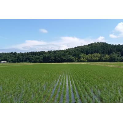 ふるさと納税 村上市 【新米受付・令和8年産米】新潟県村上市岩船産 特別栽培米ちょっと贅沢なコシヒカリ 10kg 048N |  | 01
