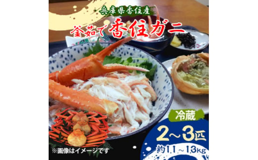 兵庫県香住産　釜茹で香住ガニ(紅ズワイガニ)2～3匹入り(約1.1～1.3kg)＜9月中旬以降発送＞【1512434】