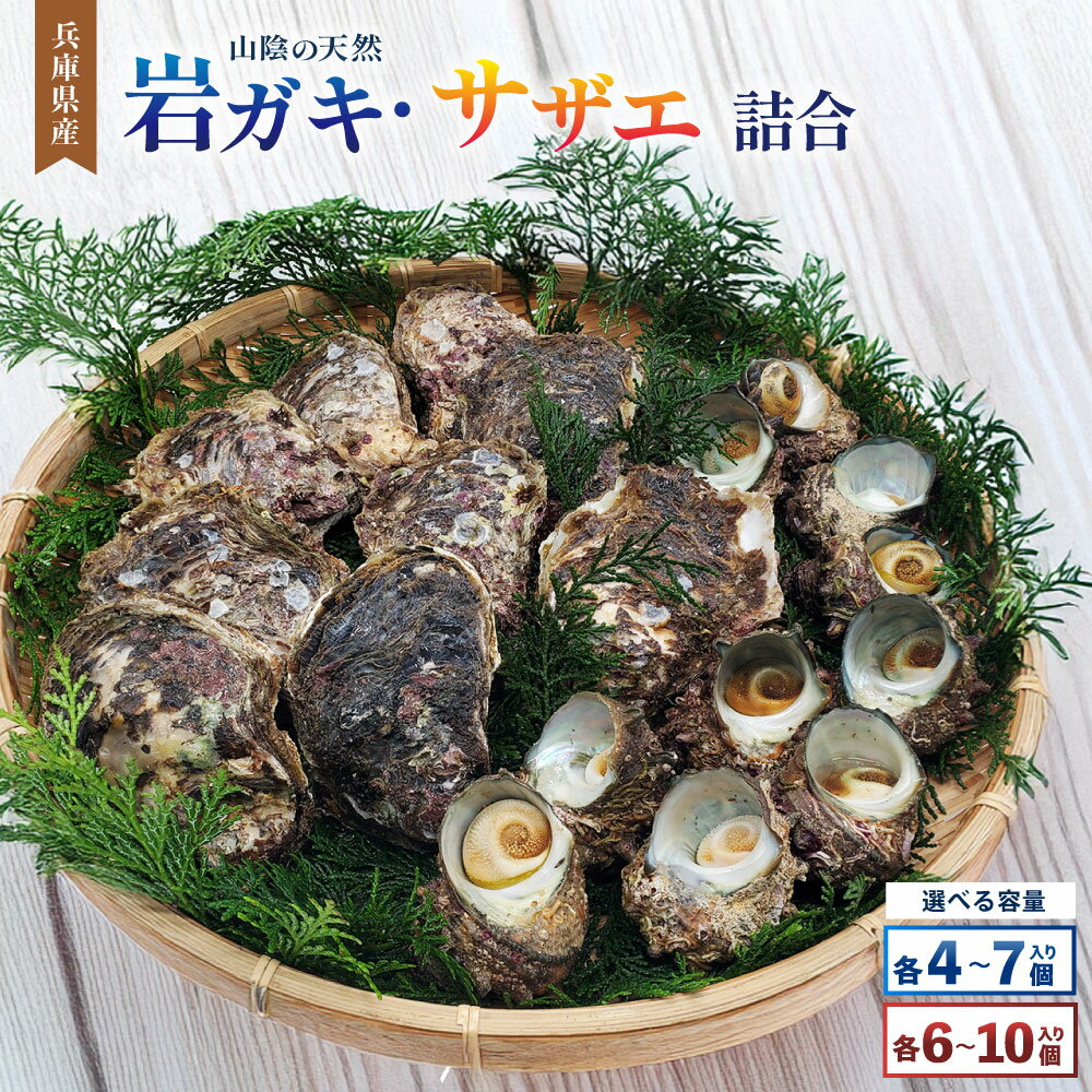 【ふるさと納税】＜選べる内容量＞山陰の天然岩ガキ・サザエ詰合 大きさにより各4～7個・各6～10個 セット 詰め合わせ 牡蠣は殺菌済 下処理済 生食OK さざえ砂抜き済 カキ さざえ 貝類 魚介類 水産物 冷蔵 兵庫県産 国産 兵庫県 新温泉町 送料無料