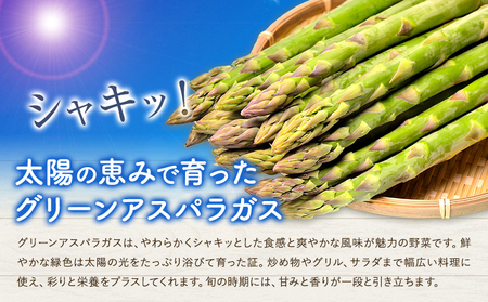 アスパラガス グリーン 夏アスパラ 1束 100g 10束 髙橋商店