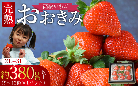 ＜高級いちご「おおきみ」（9～12粒×1パック約380g以上）化粧箱入り＞2025年1月上旬～4月末迄に順次出荷【 いちご イチゴ 苺 先行予約 甘い 大きい 果物 フルーツ 季節物 】【a0283_