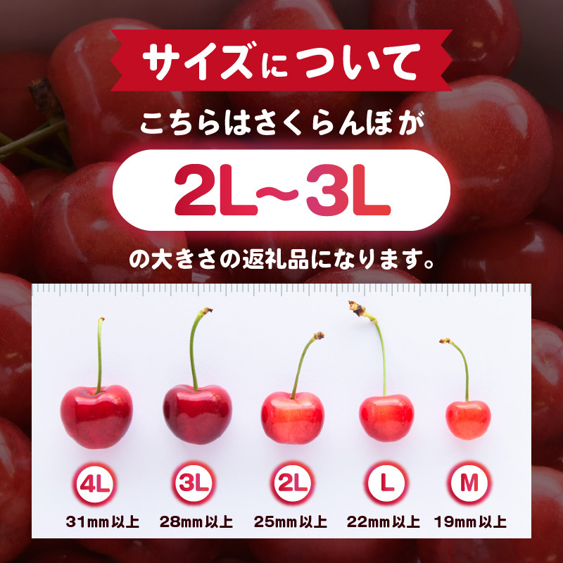画像はイメージとなります。