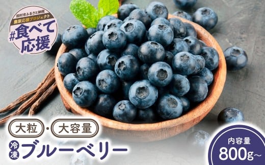 【大粒】冷凍 ブルーベリー 800g ( 400g × 2パック )  福島県 田村市 ゆぶねブルーベリー園