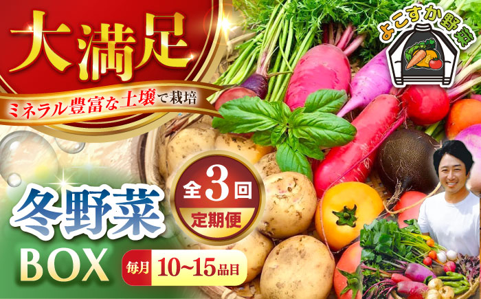 
            【先行予約】【全3回定期便】すずなり採れたて野菜BOX　(10～15品)　冬（12月～2月） 野菜  やさい 詰め合わせ 詰合せ 【鈴也ファーム】 [AKCE006]
          