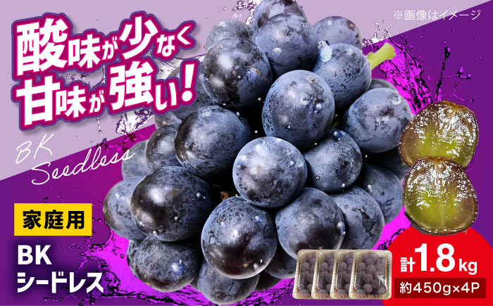 【2026年先行予約】＜9月中旬から順次発送＞家庭用 BKシードレス 計1.8kg（約450g×4パック） 粒入り ブドウ 種なし ぶどう 葡萄 三次市 / 辰巳農園 [APCR002]