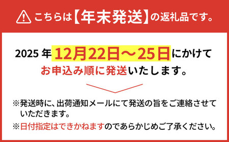【年末発送】【金賞受賞！】松尾青果のこだわり白石れんこん 約3kg【松尾青果】[IBD019]