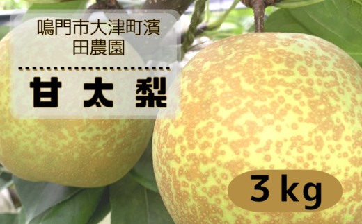 【予約受付中】【10月上旬～中旬より順次発送】濱田農園 甘太梨 約3kg  【数量限定】