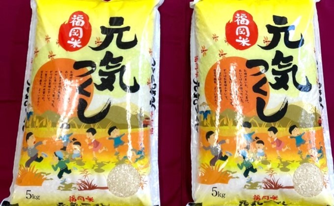 精米 元気つくし 5kg 2袋
