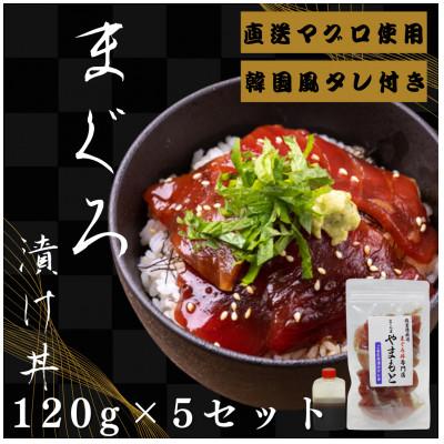 ふるさと納税 塩竈市 【直送マグロ使用】まぐろパック　特製韓国風タレ付き　120g×5パック