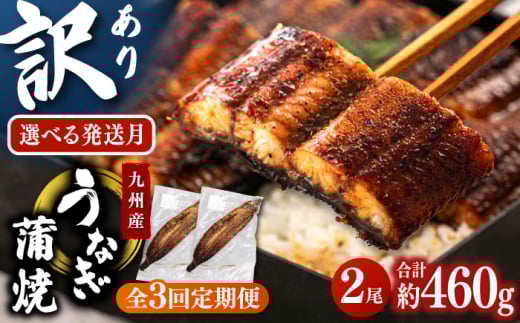 【全3回定期便】訳あり 鹿児島産 うなぎ 蒲焼 2尾セット 桂川町/山水商事 [ADAH030]