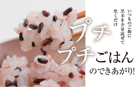 【定期便3回】黒米 800g (400g × 2袋）米 こめ ごはん 健康 古代米 岐阜県産 本巣市 お米 美容 健康 おにぎり 弁当 おいしい 旨味 ぷちぷち 和食 アグリフレンドホリグチ 3か月