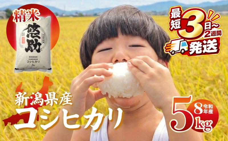 
                  最短3日発送 新米 コシヒカリ 新潟 米 5kg 特別栽培米 新潟県 コシヒカリ | 新潟産コシヒカリ 新潟県産コシヒカリ 新潟県産こしひかり お米 白米 精米 こしひかり 新潟産こしひかり 新潟こしひかり 新潟コシヒカリ 5キロ 5キログラム おこめ コメ オコメ ギフト 贈答 贈り物 にいがた ニイガタケン 新潟 新発田 kwsKH002_01_F
                