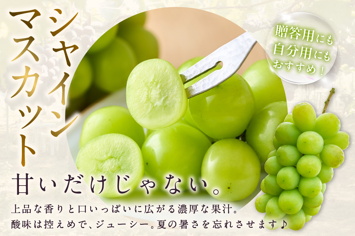 【先行予約】【2026年8月発送】東浦町産 種なし巨峰とシャインマスカット(約1kg)｜ぶどう 葡萄 ブドウ 巨峰 グレープ 種なし シャインマスカット マスカット 受領歴 贈答 贈り物 果物 新鮮 