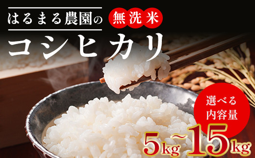 
            【令和6年産】京都丹波福知山産 はるまる農園のコシヒカリ 無洗米 【5kg・10kg・15kg】9月中発送可　ふるさと納税 精米 無洗米 米 こめ ご飯 ごはん 白米 コシヒカリ こしひかり 特別栽培米 FCCN006
          