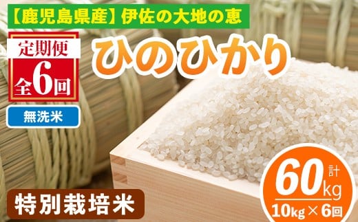 isa517-B 【定期便6回】 ＜無洗米＞選べる精米方法！令和7年産 鹿児島県伊佐産 特別栽培ひのひかり(計60kg・10kg×6ヵ月) 国産 白米 精米 無洗米 伊佐米 お米 米 生産者 ひのひかり 定期便 【Farm-K】