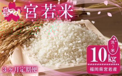 【3ヶ月連続定期便】令和7年産 夢つくし 精米 10kg〔5kg×2袋〕×3ヶ月 [M921-1] ごはん コメ ご飯 精米 白米 ブランド米