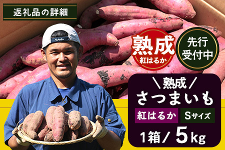 【先行予約】【鹿児島県産】熟成 紅はるか 5kg (1箱 ) Sサイズ さつまいも
