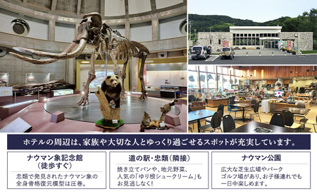 【平日限定】十勝ナウマン温泉 ホテルアルコ 一泊二食宿泊券 グレードアップ 1名様分【 北海道 幕別町 十勝 ナウマン温泉 ホテルアルコ 宿泊券 1名 平日限定 一泊二食 豪華 グレードアップ 温泉 