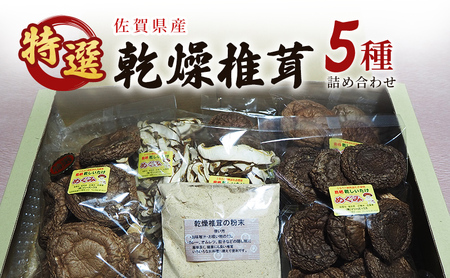 しいたけ 佐賀県産 椎茸 業者直売 特選 乾燥椎茸 セット 松 干し椎茸 乾物 きのこ