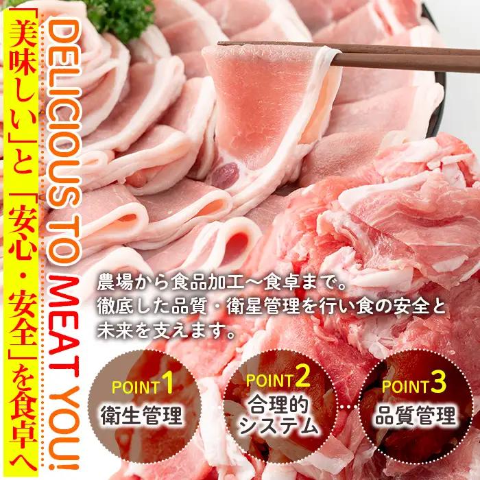 isa674 【定期便6回】＜訳あり＞鹿児島県産豚ローススライス (計9kg・(500g×3P)×6回) 国産 豚肉 真空包装 真空パック 小分け 豚ロース ぶたにく 豚 肉 冷凍 【コワダヤ】