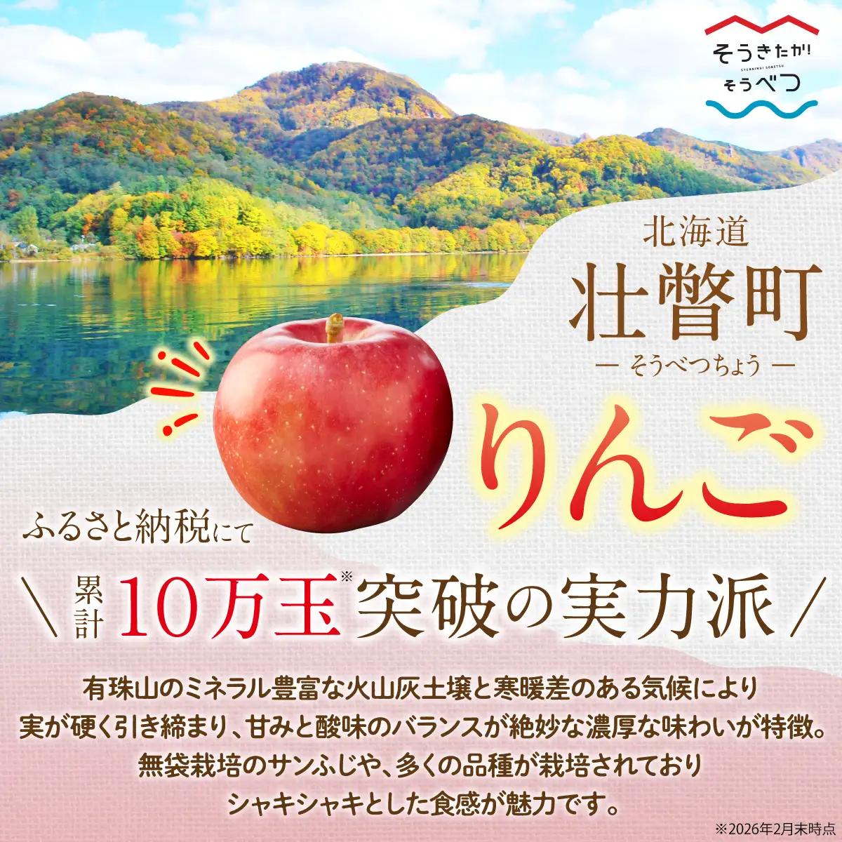 【ふるなびWEEK対象】【先行予約】 サンふじ 約5kg 2026年11月中旬頃～発送予定 SBTB015