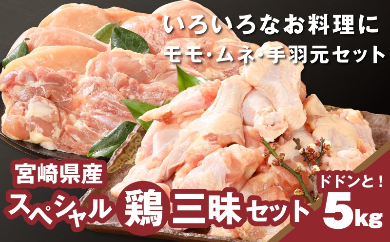 ★スピード発送!!７日～10日営業日以内に発送★宮崎県産鶏 スペシャル鶏三昧5kgセット K16_0017_4