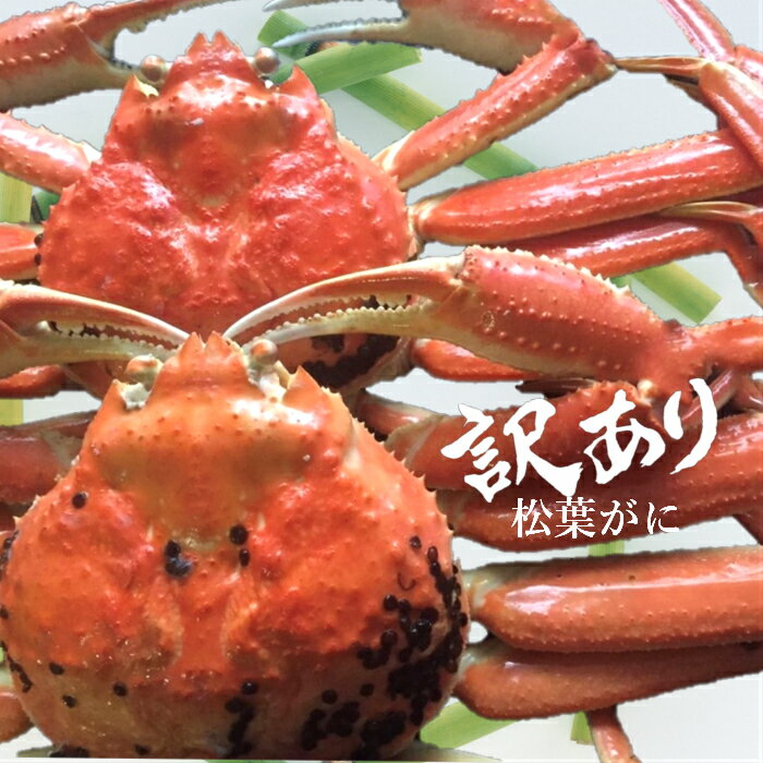 【ふるさと納税】【訳あり】松葉がに 2枚 境港 蒸し 冷蔵発送 アウトレット 山芳海産 カニ かに ずわいがに 鳥取 わけあり 送料無料 0501