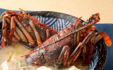 漁師からのうまいもん定期便【年１０回コース】 海鮮 魚 刺身 マグロ カツオ 刺身