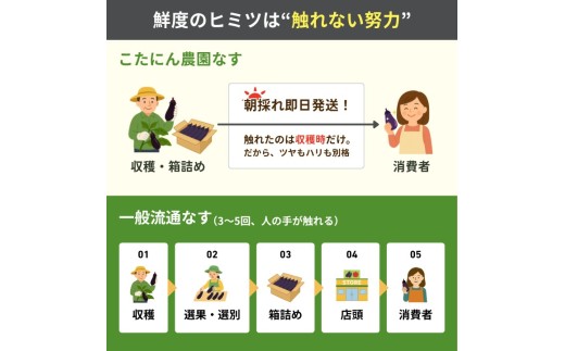 【先行受付】 6回定期便 「優秀賞受賞なす」 計9kg 約1.5kg×6回 採れたて 新鮮 旬 野菜 やさい 茄子 先行予約 期間限定 季節 料理 ご飯 ごはん 朝採れ 極上 フレッシュ 農産物 優秀