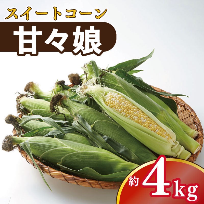 
            とうもろこし スイートコーン 甘々娘 4kg コーン 野菜 やさい 新鮮 サラダ 醤油 バター 砂糖 焼きもろこし 天ぷら スープ コーンスープ BBQ 焼き肉 アウトドア キャンプ 特産品 産地直送 徳島県 吉野川市
          