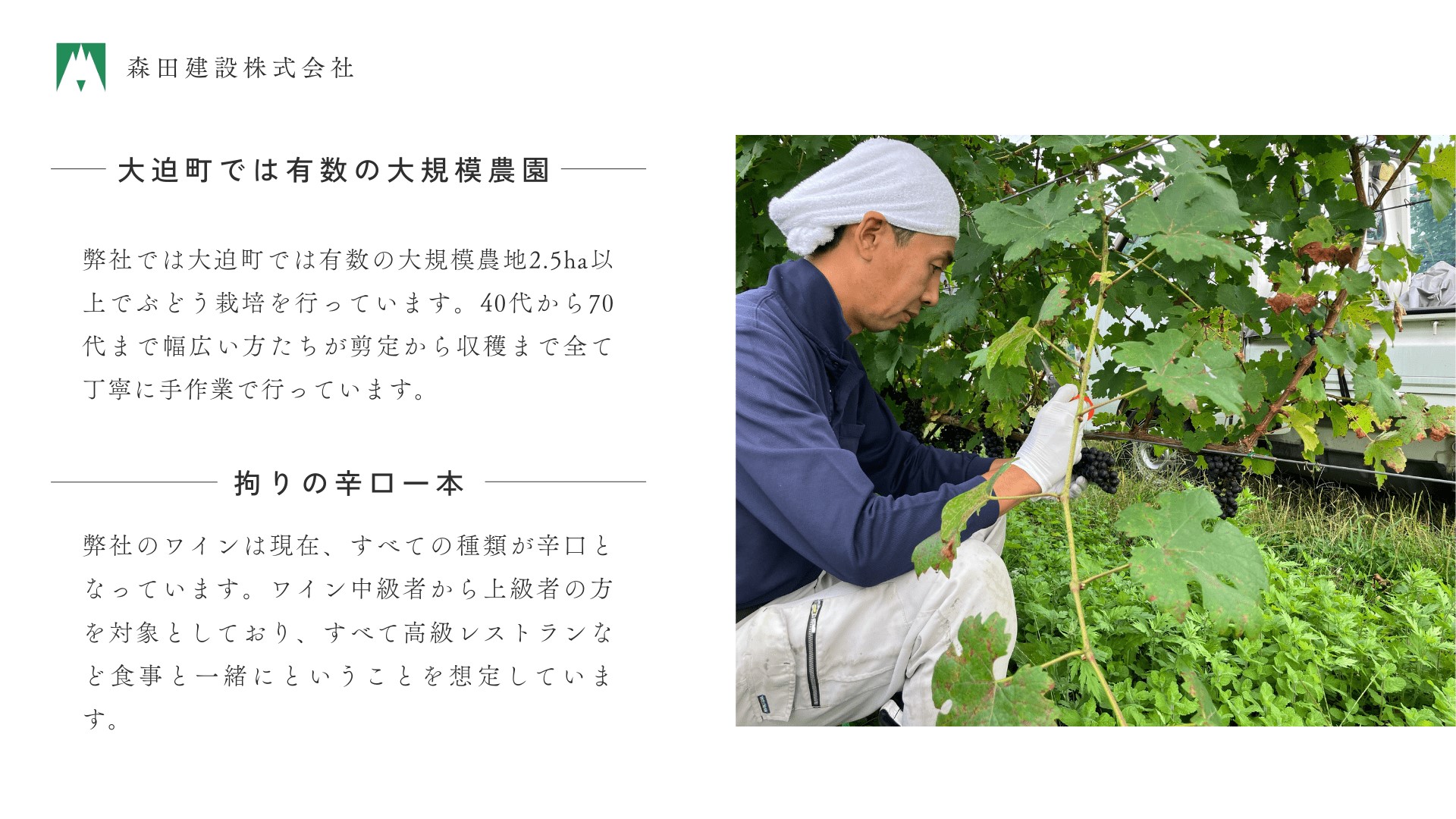 【30セット限定】「早池峰の恵み」モリタワイン　ダム貯蔵熟成「赤」年代別飲み比べ　6本セット 【2434】