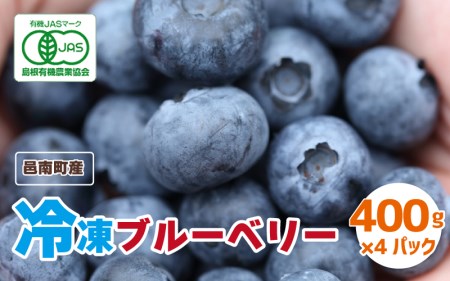 【先行予約】有機 冷凍ブルーベリー1.6kg（400g×4袋)