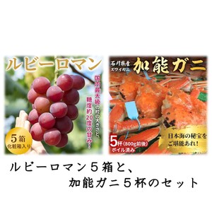 ルビーロマン５箱＜２０２５年発送＞と、加能ガニ５杯【セットＤ】