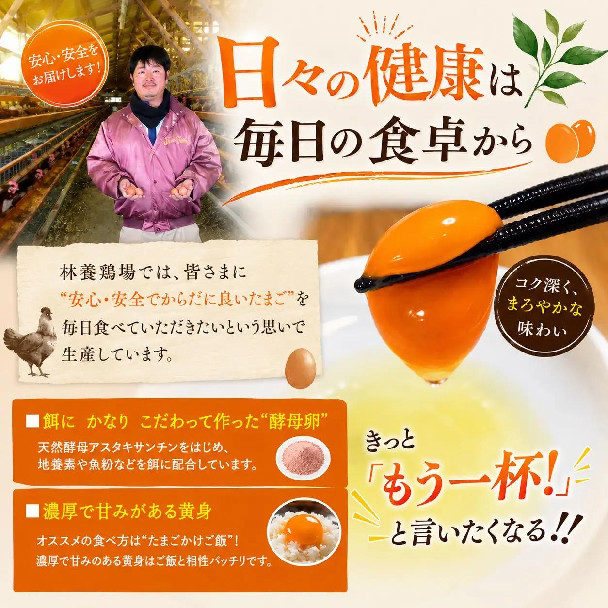 【酵母卵】卵  65個前後 卵 