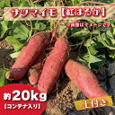 【ふるさと納税】【2024年11月より順次発送】2024年度産 さつまいも 『紅はるか』約20kg(コンテナ入り)(BZ-33)