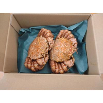 ふるさと納税 広尾町 毛ガニ300g×2杯(冷凍茹で)(0100) |  | 02