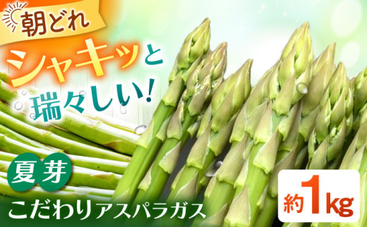 【2026年6月～発送】 甘くやわらか！こだわり 夏芽 アスパラガス 約1kg【ふぁふぁふぁーむ】 アスパラ 朝採り 新鮮 野菜 佐賀県 白石町 アスパラガス  白石 [ICS002]