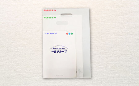 地球にやさしい持ち手付き袋 A4 白（1冊50枚入）20冊セット/1ケース[AGBR084]