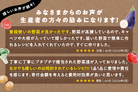 【期間限定】 新鮮 愛情たっぷり 果物 ＆ 野菜 セット 詰め合わせ 産地直送 おまかせ やさい 果物 旬 季節 SP-1