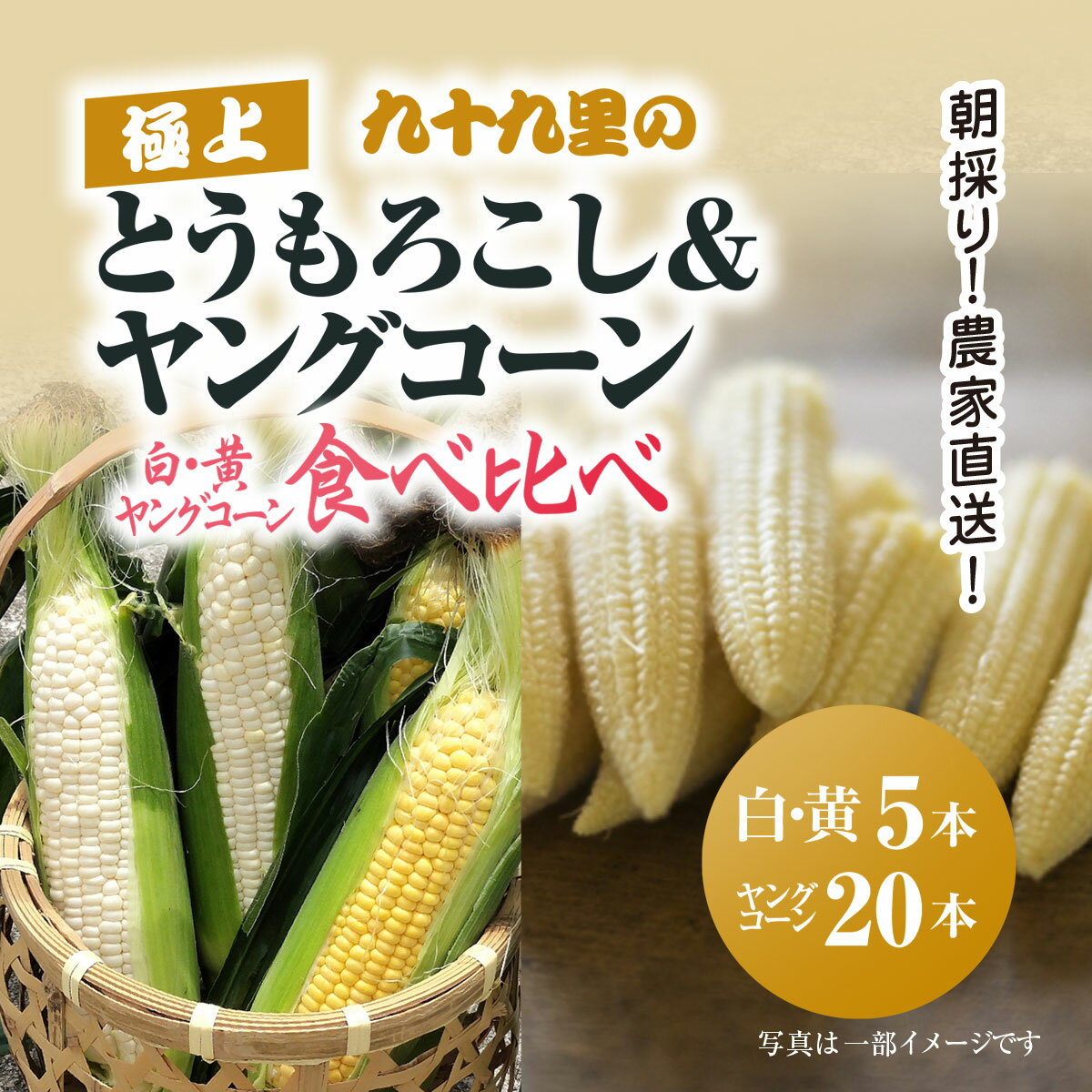 【ふるさと納税】【2025年6月より順次発送!】朝採り!農家直送! 九十九里の極上とうもろこし2種類+ヤングコーン食べ比べ / とうもろこし トウモロコシ コーン ゴールドラッシュ 白いとうもろこし ヤングコーン シャキシャキ 朝採れ 農家直送 千葉県山武市 SMBU003