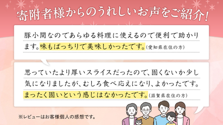 美明豚 小間切れ 2kg【茨城県共通返礼品 行方市】 豚肉 国産 銘柄 お手頃 グルメ 茨城県 料理 冷凍 小分け こま切れ 切り落とし 豚 ぶた 肉 ポーク ブランド豚 豚こま 豚こま切れ [CV0