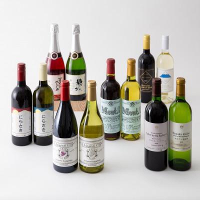 ふるさと納税 韮崎市 韮崎産 赤白スパークリング12本 飲み比べセット　750ml×11本　720ml×1本