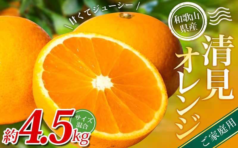 
                  【ご家庭用】 森本農園の手選別 清見オレンジ 約4.5kg 和歌山県産 サイズ混合 【北海道・沖縄・離島配送不可】【2026年2月上旬～5月下旬頃に順次発送】【BV90022-mrmt022A】
                