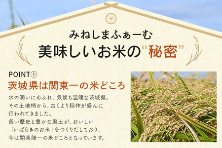令和7年度産 みねしまふぁーむ 常陸牛農家が育てるコシヒカリ 5kg コシヒカリ 低農薬 低化学肥料 米 発送直前に精米 精米 コシヒカリ米 茨城県産 白米 お米 コメ おこめ こめ こしひかり 有機