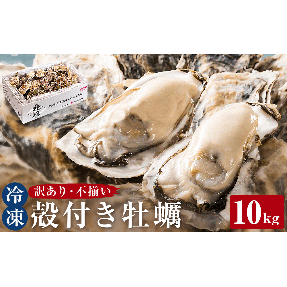 ＜訳あり・不揃い＞ 牡蠣 冷凍 殻付き 牡蠣 10kg 三陸産 不揃い カキ かき 加熱用 カンカン焼き ガンガン焼き 蒸し牡蠣 カキ 真牡蠣 BBQ 浜焼き バーベキュー 新鮮 海鮮 魚介 国産 取り寄せ グルメ 急速冷凍 宮城 石巻 宮城県 石巻市 送料無料